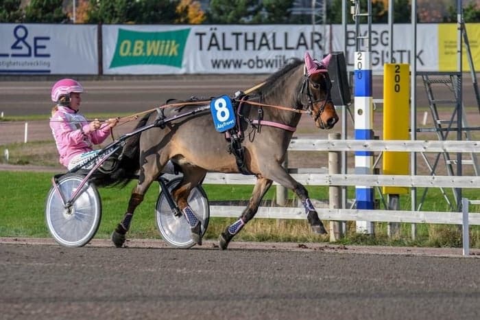 Media 1 av Skotts Amaretto