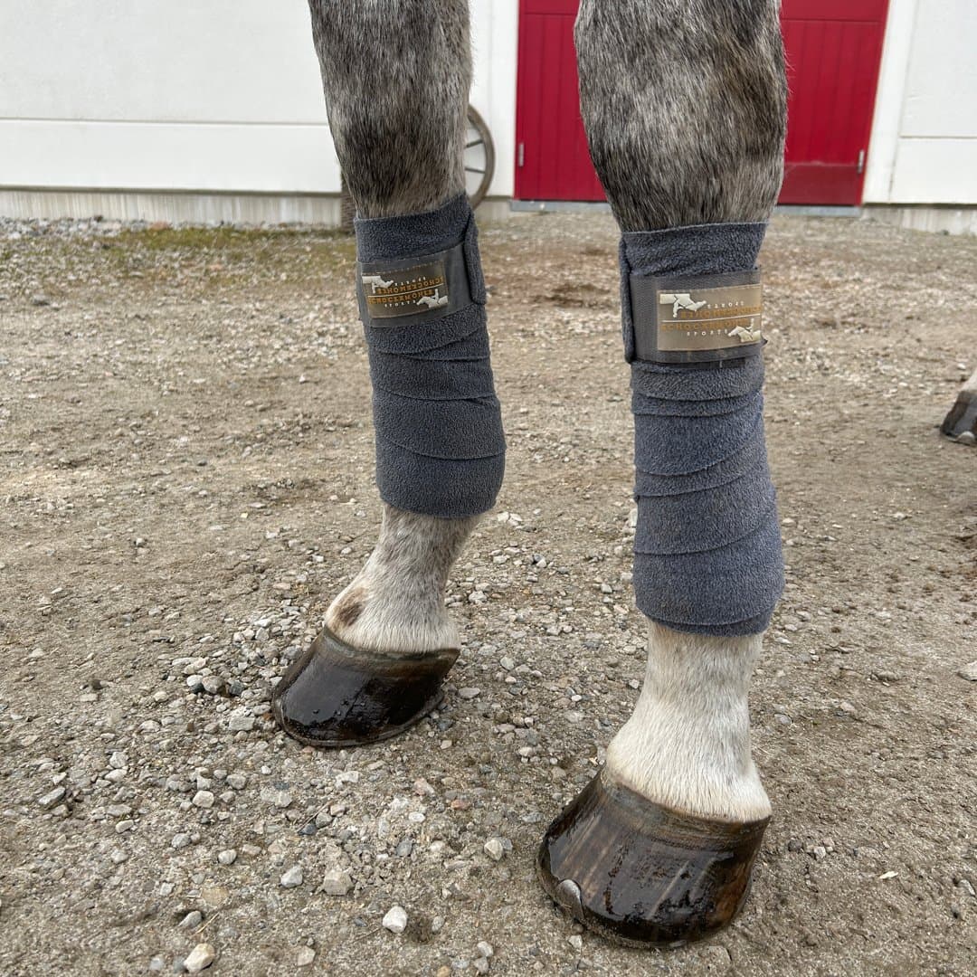 Bild 1 av Grå lindor i fint skick schockemöhle