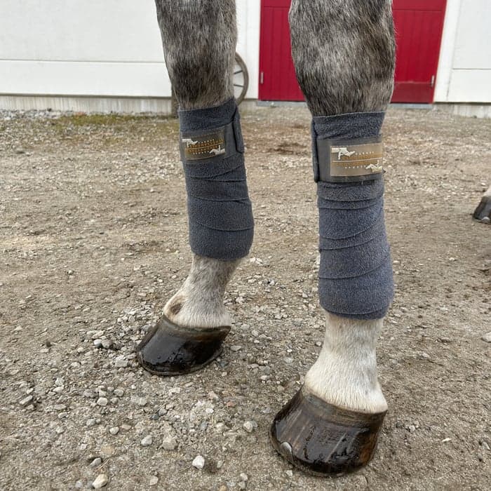 Media 1 av Grå lindor i fint skick schockemöhle