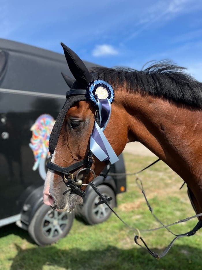 Media 1 of T'zen d’Ete