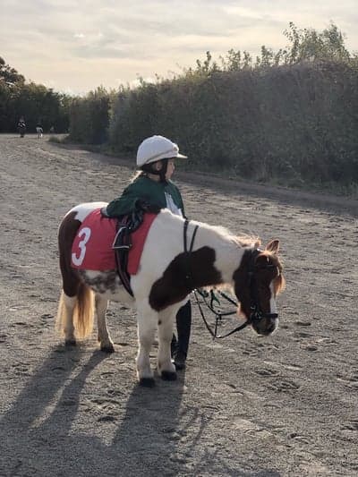 Inlägg 55 av Galopp med titeln Minni debuterar ponnygalopp🥳