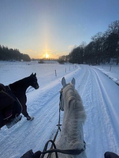 Inlägg 73 av Allround