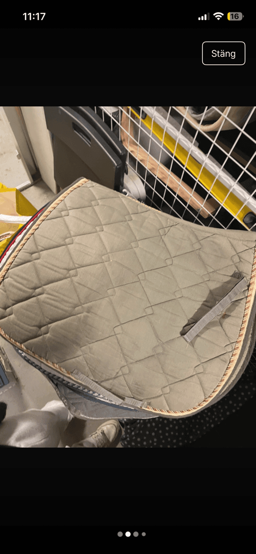 Media 2 of Grönt schabrak