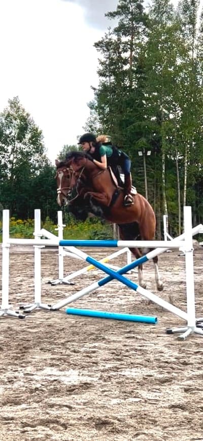 Inlägg 105 av Allround med titeln Enögd hästis 🫶🏻