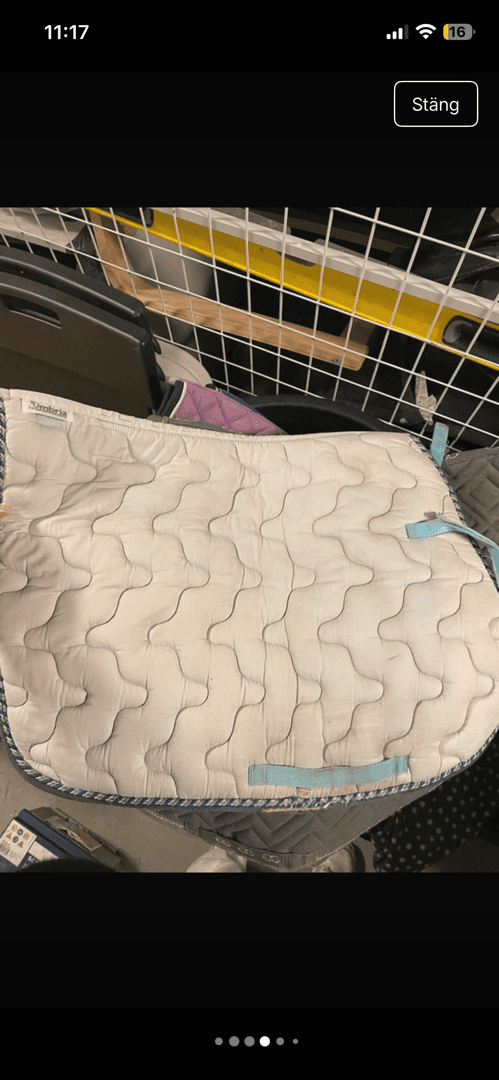 Media 5 of Vitt schabrak