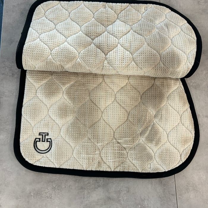 Media 3 av Grått schabrak från Cavalleria Toscana