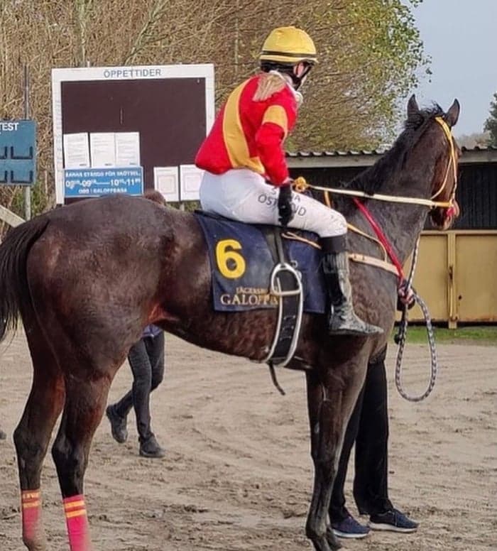 Media 1 av What Dose