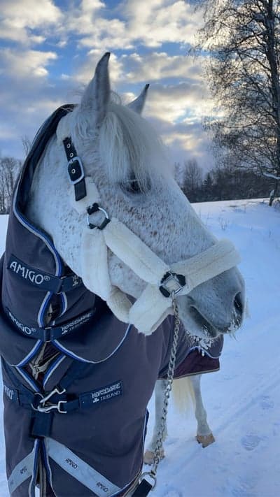 Inlägg 110 av Allround