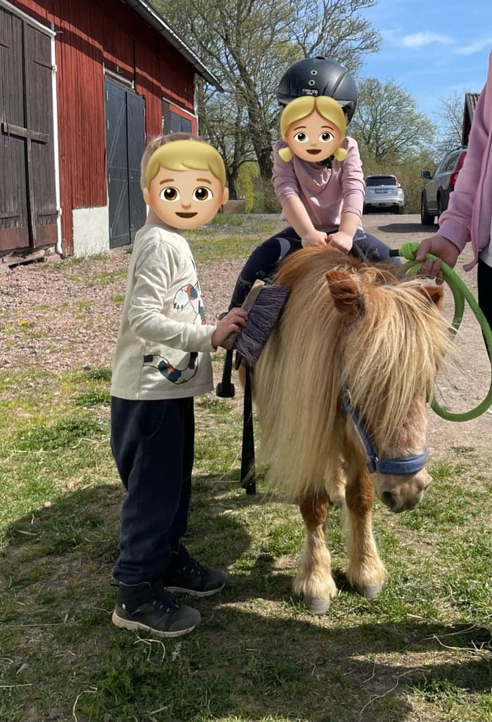 Media 2 av Myggan