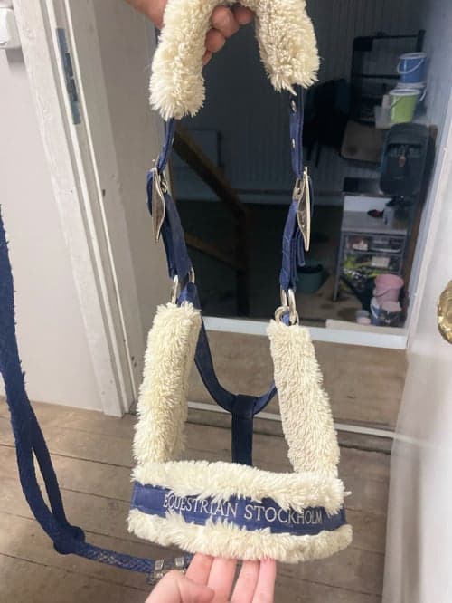 Bild av Blå grimma och grimskaft från Equestrian Stockholm