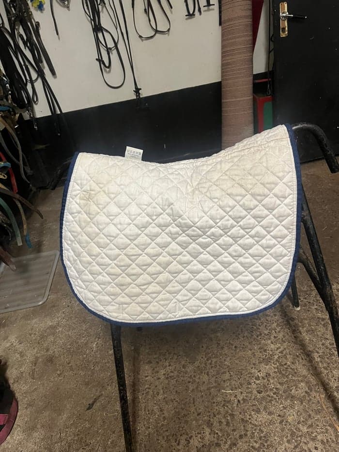 Media 3 of Vitt schabrak från Kingsland