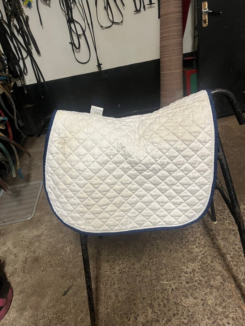 Image 3 of Vitt schabrak från Kingsland