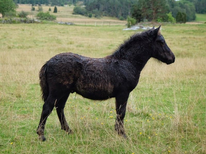 Bild 2 av Furunäs Design