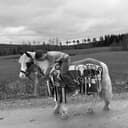 Profilbild av Emmy Vikström