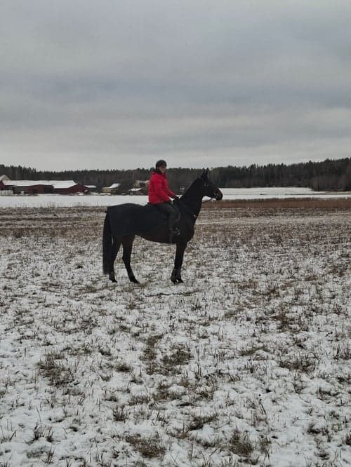 Bild av Grön 7 åring söker nytt kärleksfullt hem 