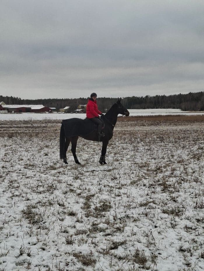 Media 2 of Grön 7 åring söker nytt kärleksfullt hem 