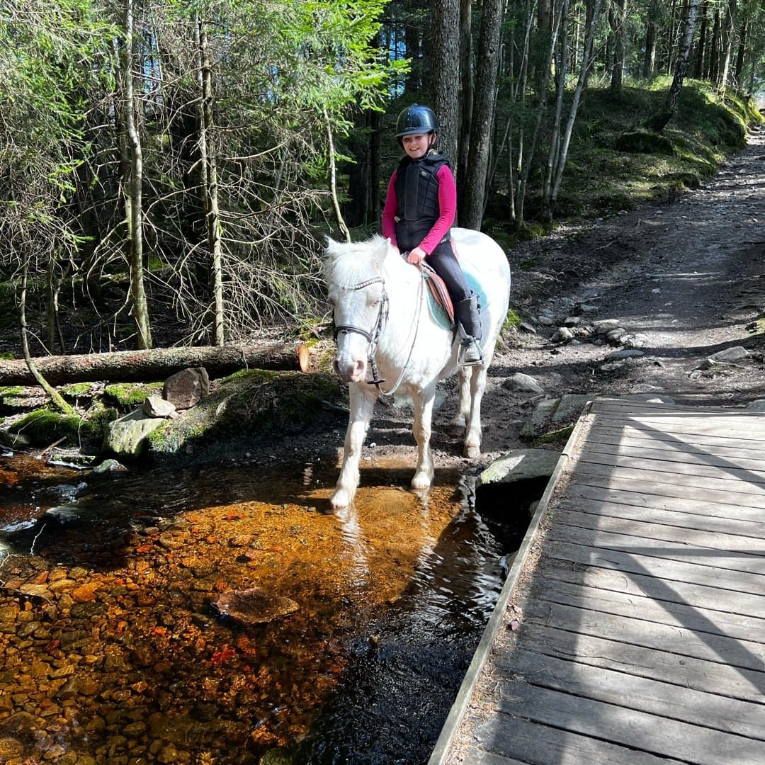 Bild 1 av Crossderry Speedy