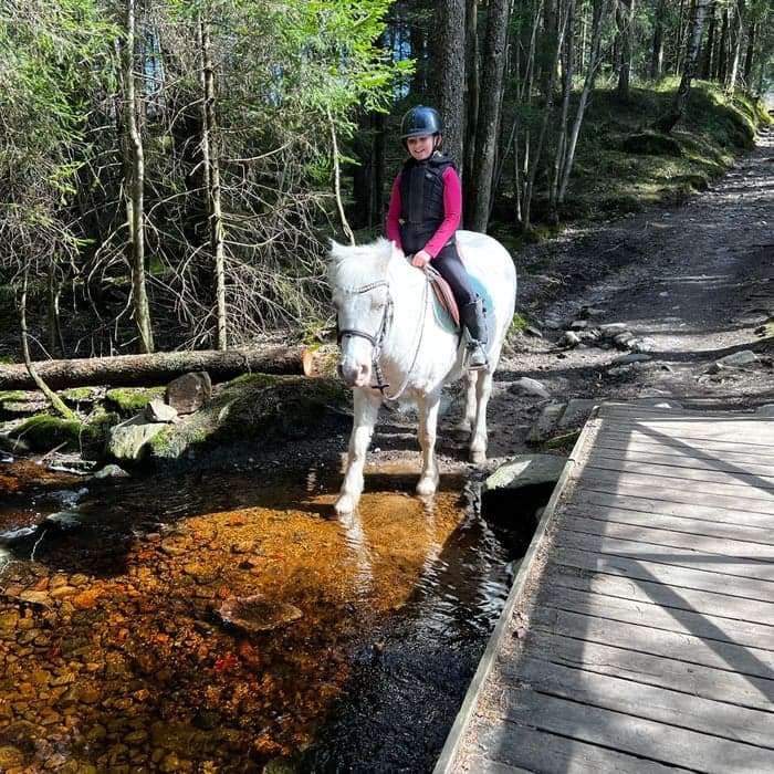 Media 1 av Crossderry Speedy