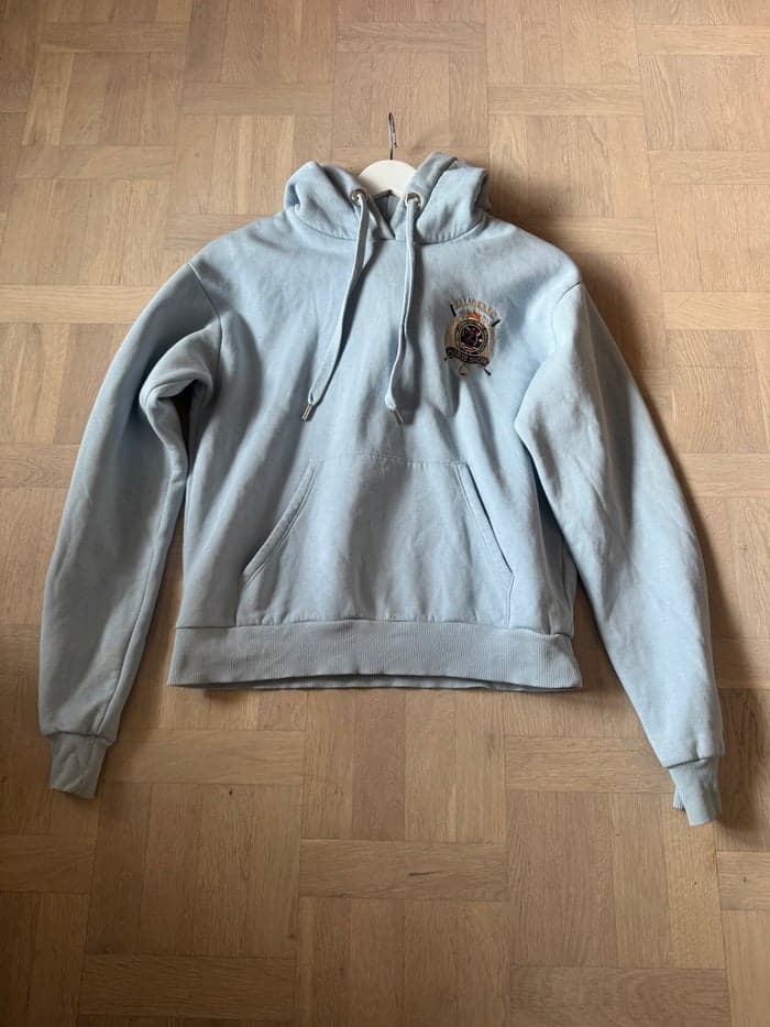 Media 1 of Ljusblå falsterbohoodie