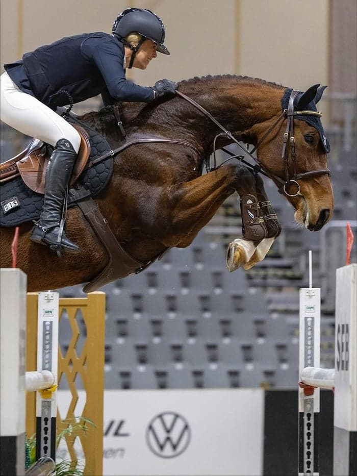 Media 2 av Träning, utbildning & tävling av din häst