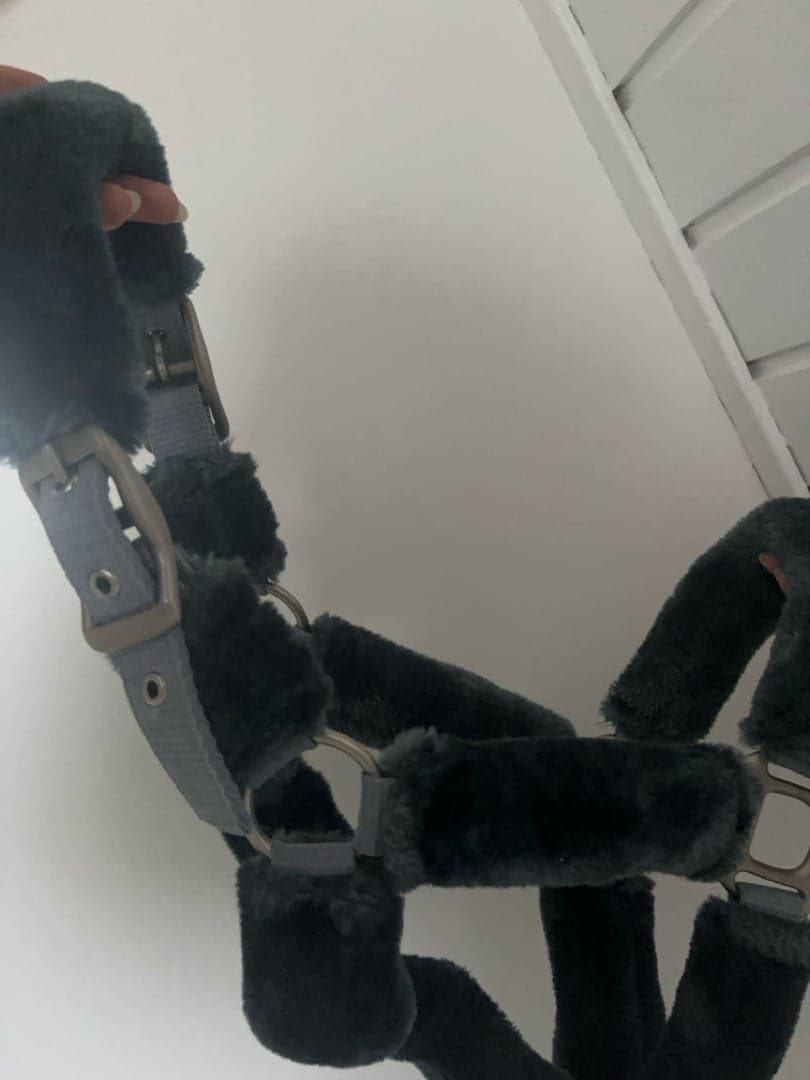 Bild 1 av Grå grimma