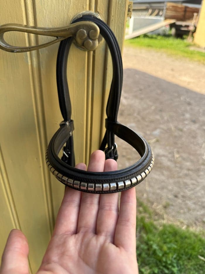 Media 6 of Svart träns med klinker
