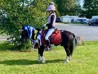 Inlägg 75 av Hoppning med titeln SM i Bruks