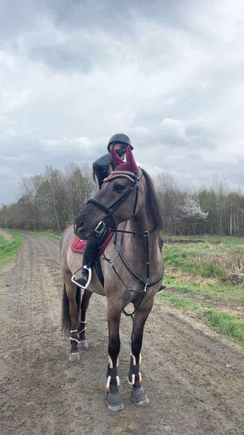 Bild av Mustang söker medryttare