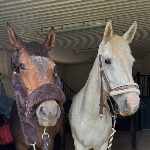 Profile picture of Nora Kronvall