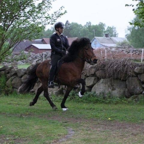 Media 1 av Litla-Mín från Löjtnantsgården