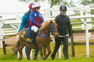 Ponnygalopp 