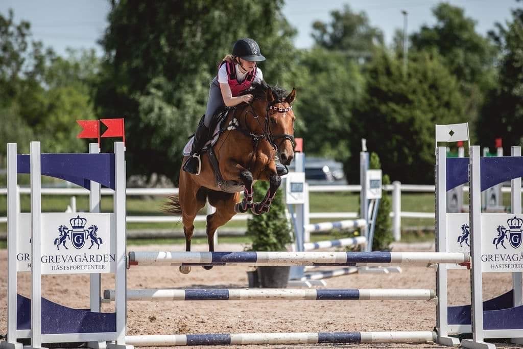 Image 1 of TW Rosa Bella AA