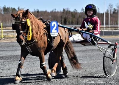 Inlägg 113 av Trav med titeln Ponnytrav 
