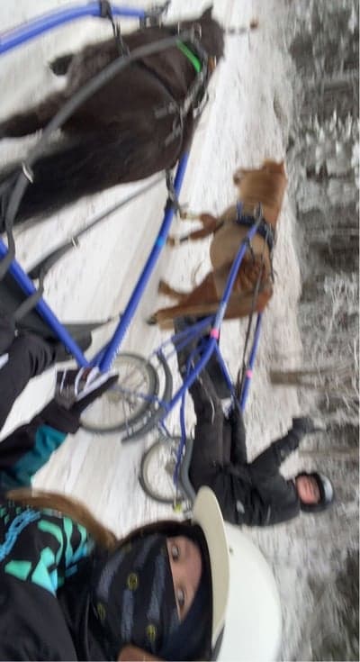 Inlägg 13 av Sportkörning med titeln Titanicorn & Skumpirumpidump ute på äventyr❤️