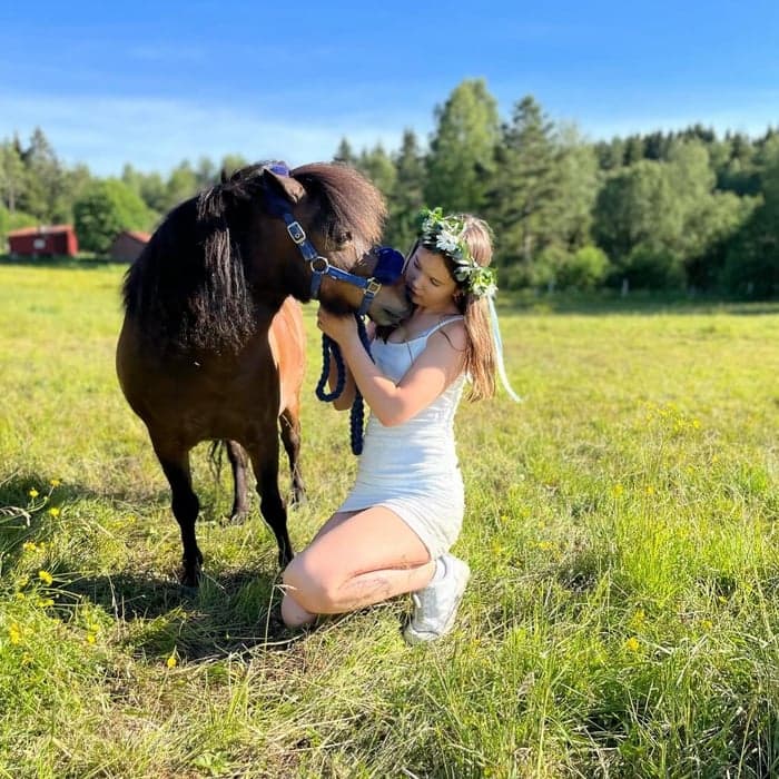 Media 1 av Hillvild