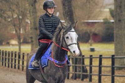 Inlägg 26 av Ponnygalopp med titeln Ponnygalopp 
