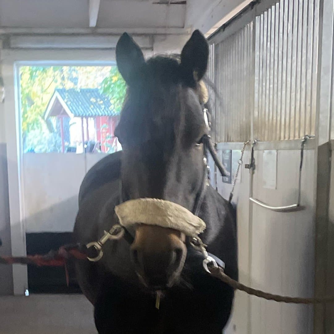 Bild 1 av Bobby joe brown