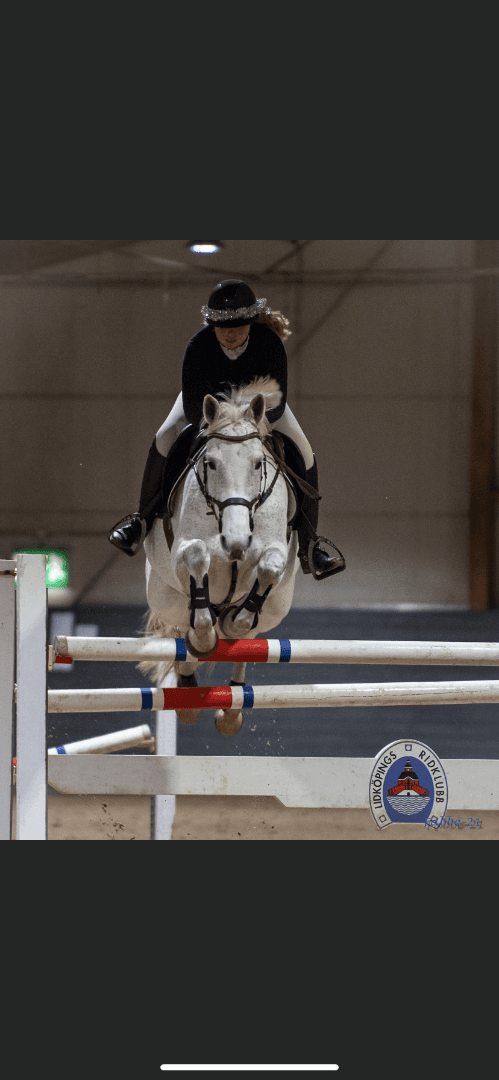 Image 1 of Graine d'une grande histiorie rivereuille