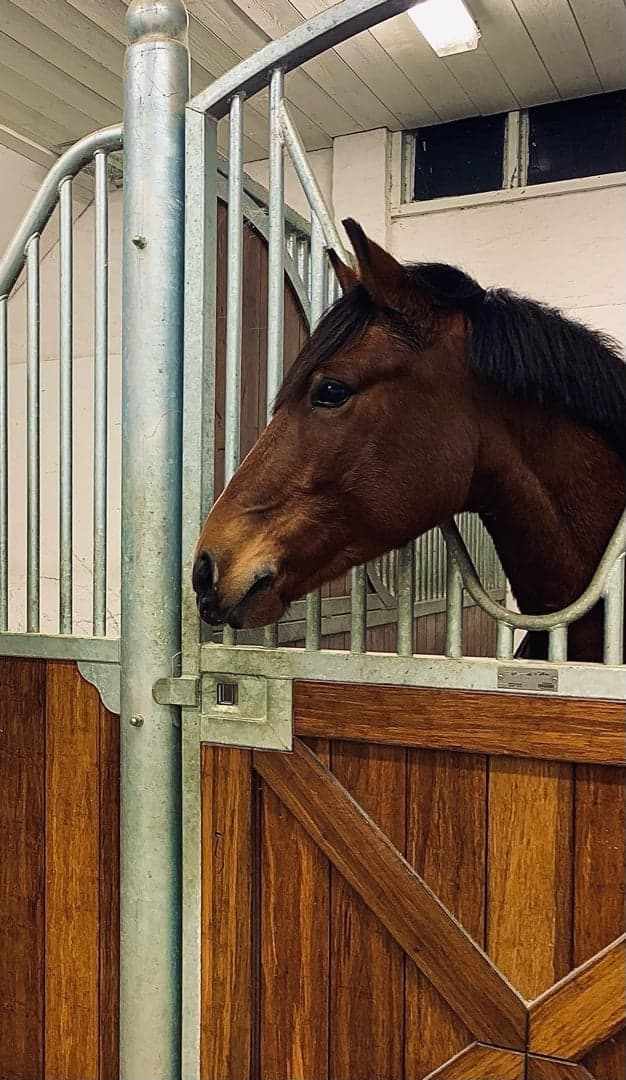 Media 1 av Boss Boss Baby