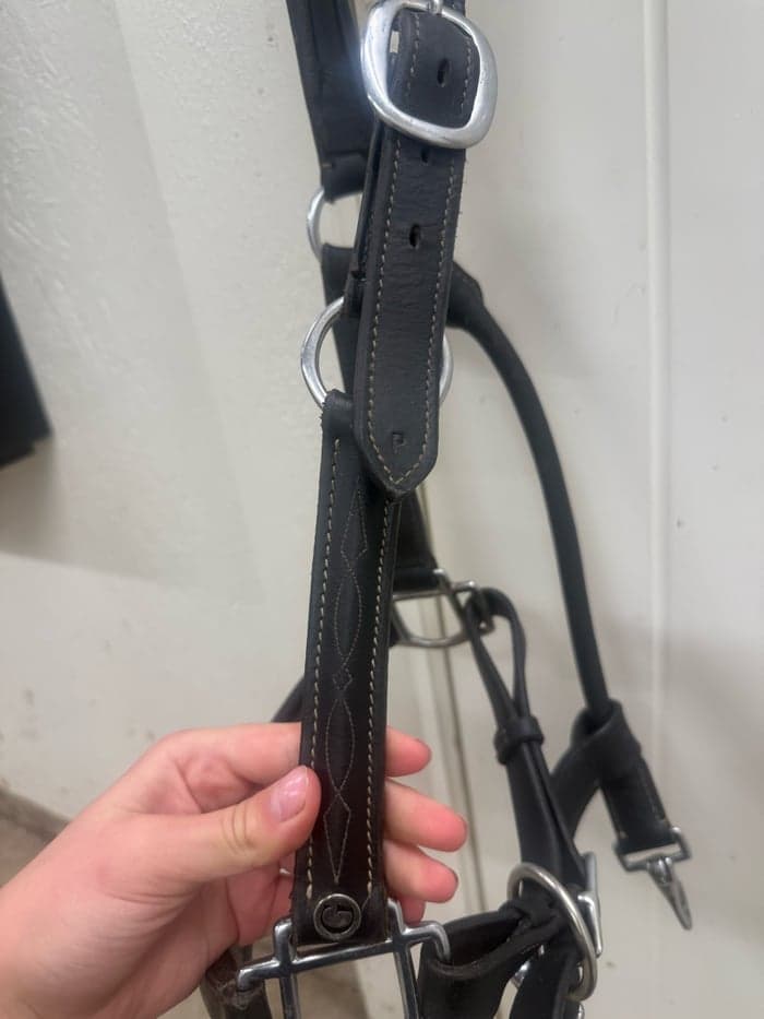 Media 3 av Svart läder grimma med snygga sydda detaljer