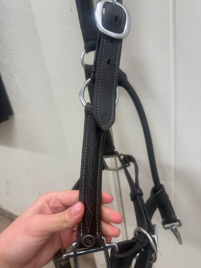 Bild 3 av Svart läder grimma med snygga sydda detaljer