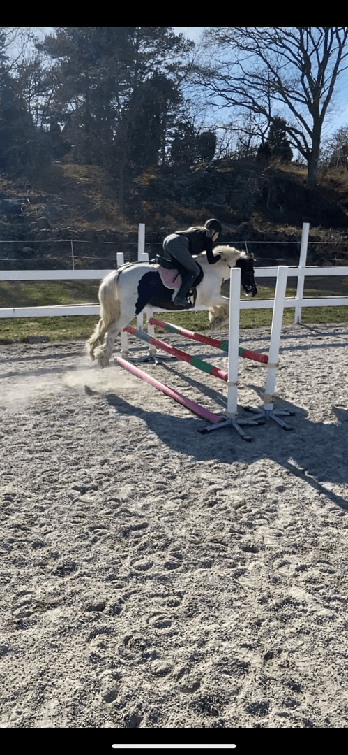 Bild 1 av Dolly