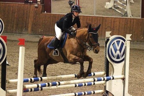 Bild av Snyggt sto som sticker ut i mängden🌟🦁