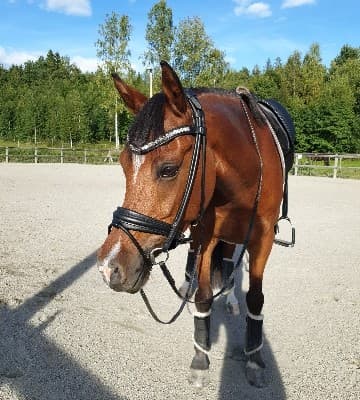 Bild 1 av MBF Cantuccini