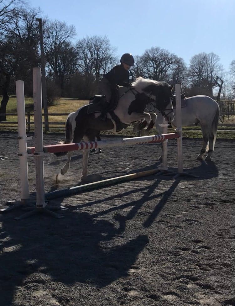 Bild 1 av Bugsy