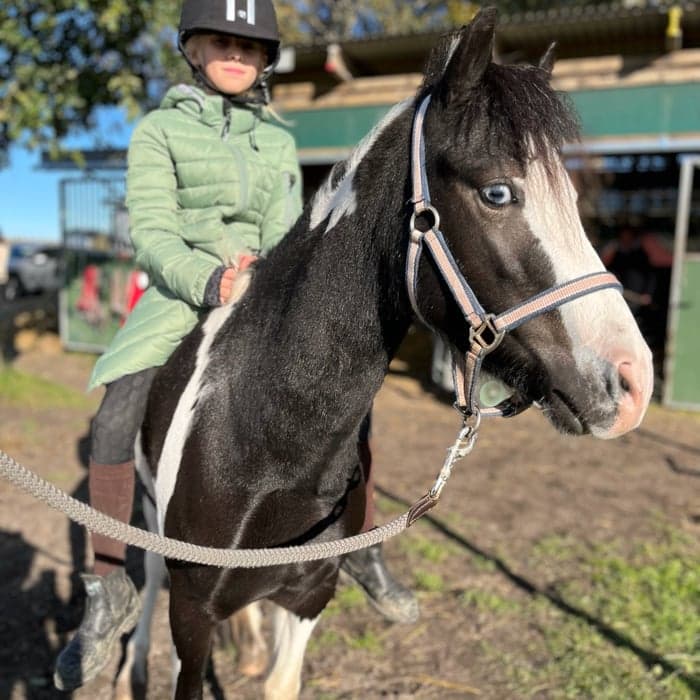 Media 1 av Dutch Masters Black & White