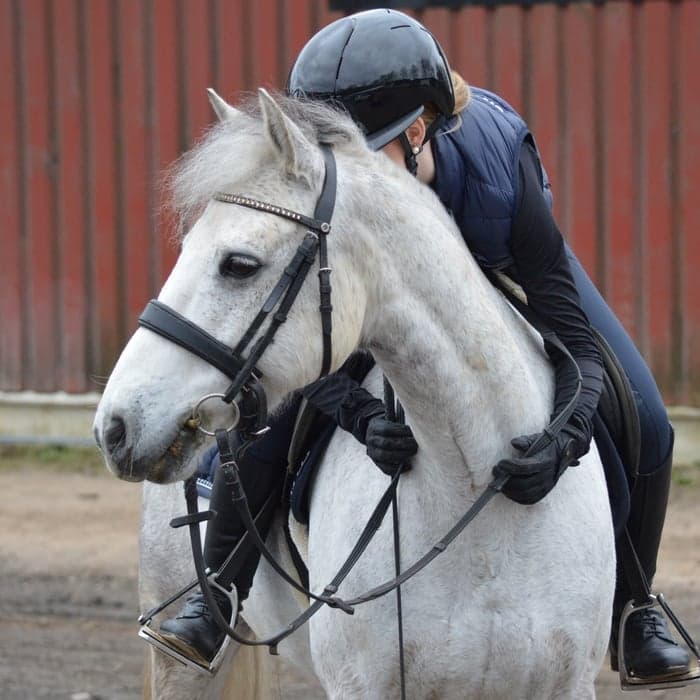 Media 1 of Tourmakeady Jim