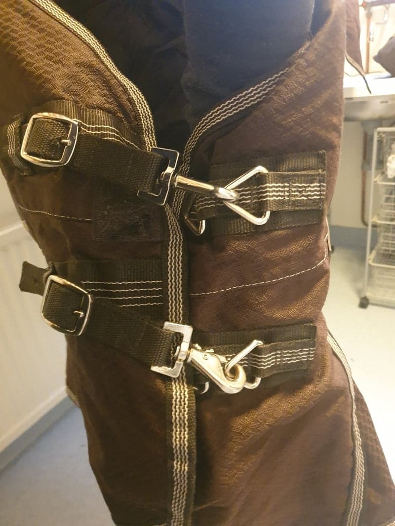 Image 2 of Brown rug