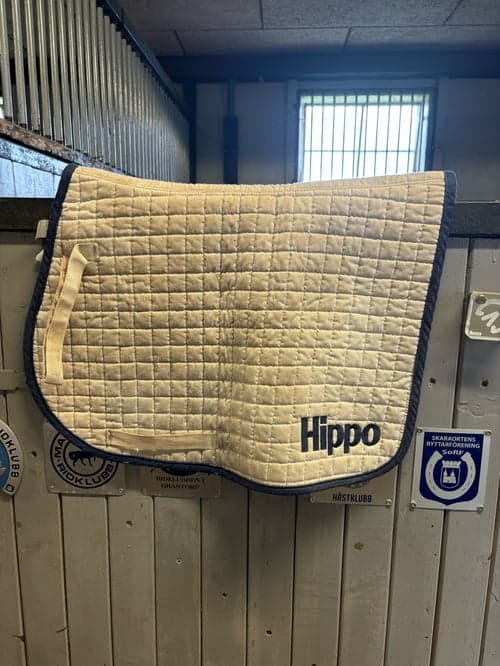 Bild av Vitt schabrak från Hippo