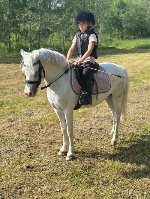 Image of Bästa första ponnyn